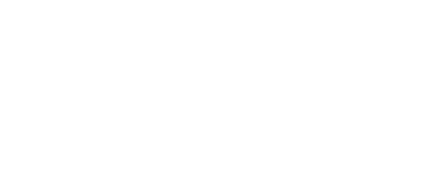 Ceramiche Danesi